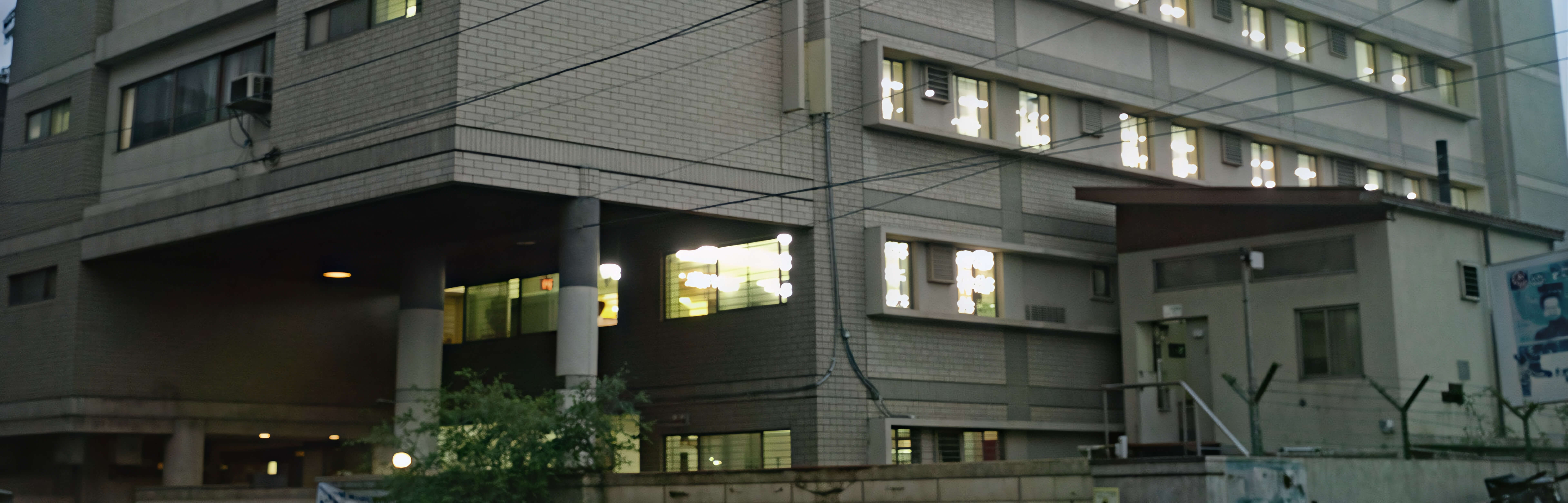 The Shanin Corporation Ltd.